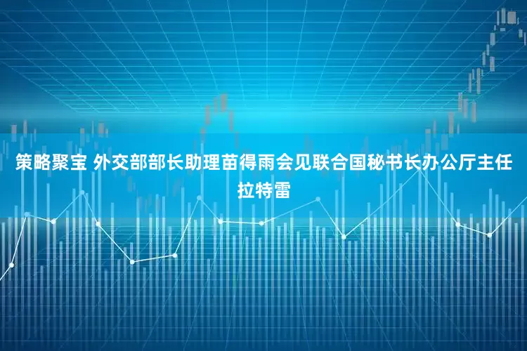 策略聚宝 外交部部长助理苗得雨会见联合国秘书长办公厅主任拉特雷